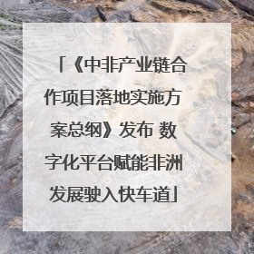 《中非产业链合作项目落地实施方案总纲》发布 数字化平台赋能非洲发展驶入快车道