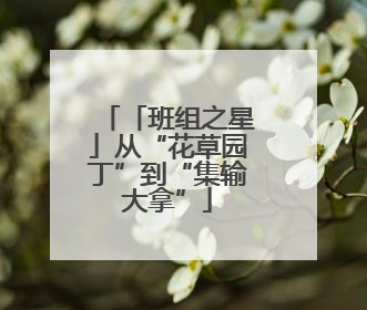 「班组之星」从“花草园丁”到“集输大拿”