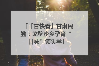 「甘快看」甘肃民勤：戈壁沙乡孕育“甘味”领头羊