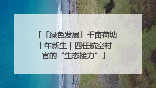 「绿色发展」千亩荷塘 十年新生｜四任航空村官的“生态接力”