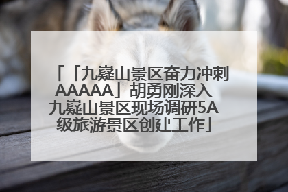 「九嶷山景区奋力冲刺AAAAA」胡勇刚深入九嶷山景区现场调研5A级旅游景区创建工作