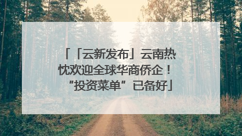 「云新发布」云南热忱欢迎全球华商侨企！“投资菜单”已备好