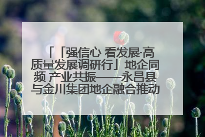 「强信心 看发展·高质量发展调研行」地企同频 产业共振——永昌县与金川集团地企融合推动重大项目建设
