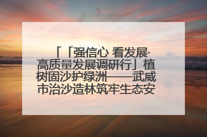 「强信心 看发展·高质量发展调研行」植树固沙护绿洲——武威市治沙造林筑牢生态安全屏障见闻