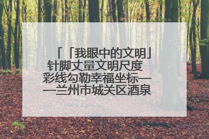 「我眼中的文明」针脚丈量文明尺度 彩线勾勒幸福坐标——兰州市城关区酒泉路街道办事处