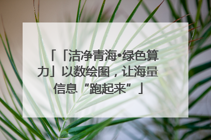 「洁净青海•绿色算力」以数绘图，让海量信息“跑起来”