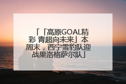 「高原GOAL精彩 青超向未来」本周末，西宁雪豹队迎战果洛格萨尔队