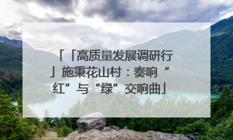 「高质量发展调研行」施秉花山村：奏响“红”与“绿”交响曲