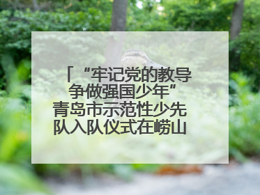 “牢记党的教导 争做强国少年”青岛市示范性少先队入队仪式在崂山区举办