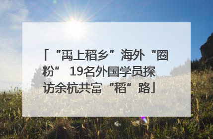 “禹上稻乡”海外“圈粉” 19名外国学员探访余杭共富“稻”路