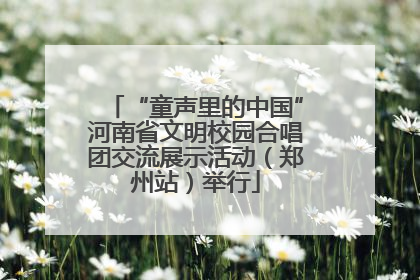 “童声里的中国”河南省文明校园合唱团交流展示活动（郑州站）举行