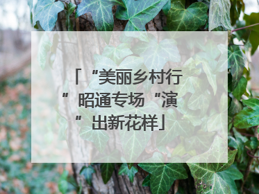 “美丽乡村行”昭通专场“演”出新花样