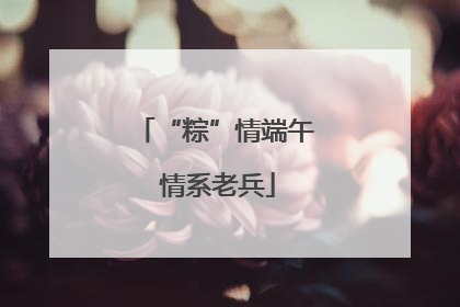 “粽”情端午 情系老兵
