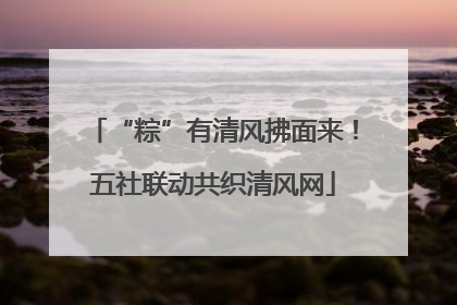 “粽”有清风拂面来！五社联动共织清风网