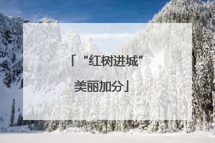 “红树进城” 美丽加分