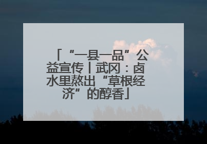 “一县一品”公益宣传丨武冈：卤水里熬出“草根经济”的醇香