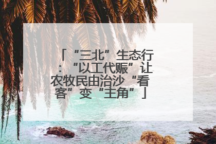 “三北”生态行：“以工代赈”让农牧民由治沙“看客”变“主角”