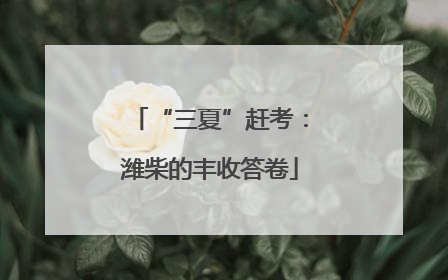 “三夏”赶考：潍柴的丰收答卷