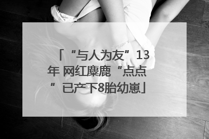 “与人为友”13年 网红麋鹿“点点”已产下8胎幼崽