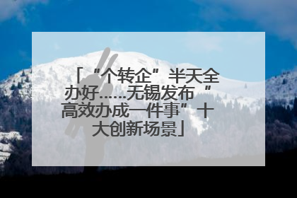 “个转企”半天全办好……无锡发布“高效办成一件事”十大创新场景