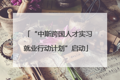“中斯跨国人才实习就业行动计划”启动