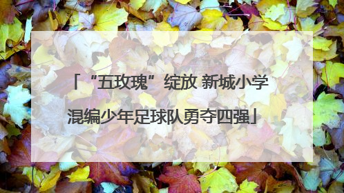 “五玫瑰”绽放 新城小学混编少年足球队勇夺四强