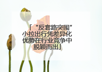 “反套路突围”小拉出行凭差异化优势在行业竞争中脱颖而出
