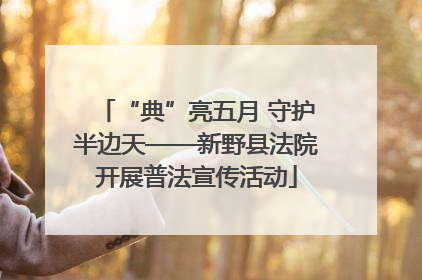 “典”亮五月 守护半边天——新野县法院开展普法宣传活动