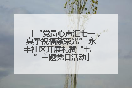 “党员心声汇七一，真挚祝福献荣光” 永丰社区开展礼赞“七一”主题党日活动