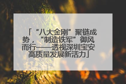 “八大金刚”聚链成势，“制造铁军”御风而行——透视深圳宝安高质量发展新活力