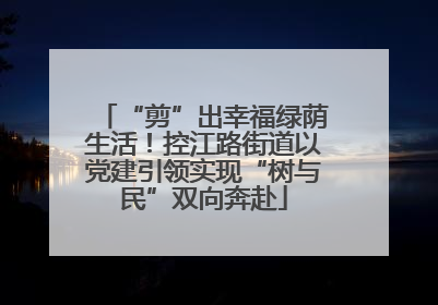“剪”出幸福绿荫生活！控江路街道以党建引领实现“树与民”双向奔赴