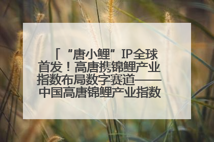 “唐小鲤”IP全球首发！高唐携锦鲤产业指数布局数字赛道——中国高唐锦鲤产业指数暨“唐小鲤”IP全球首发仪式在杭州举行