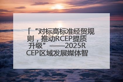 “对标高标准经贸规则，推动RCEP提质升级”——2025RCEP区域发展媒体智库论坛举行专题对话