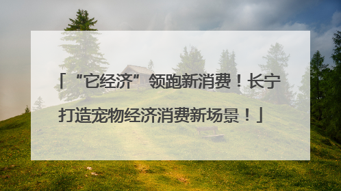 “它经济”领跑新消费！长宁打造宠物经济消费新场景！