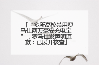 “多所高校禁用罗马仕两万毫安充电宝”，罗马仕发声明道歉：已展开核查