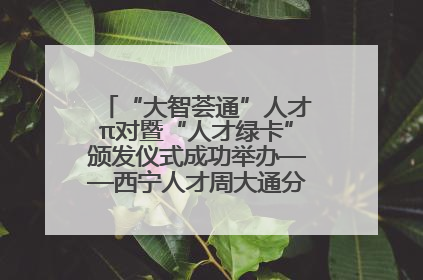 “大智荟通”人才π对暨“人才绿卡”颁发仪式成功举办——西宁人才周大通分会场亮点纷呈