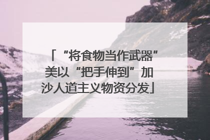“将食物当作武器” 美以“把手伸到”加沙人道主义物资分发