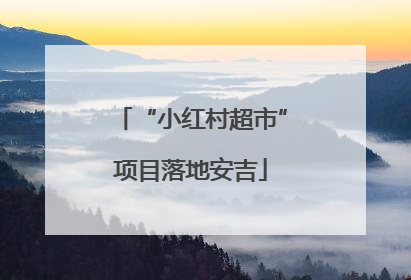 “小红村超市”项目落地安吉