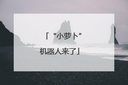 “小萝卜”机器人来了