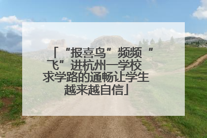 “报喜鸟”频频“飞”进杭州一学校 求学路的通畅让学生越来越自信