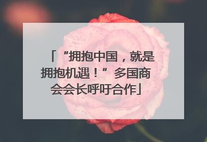 “拥抱中国，就是拥抱机遇！”多国商会会长呼吁合作