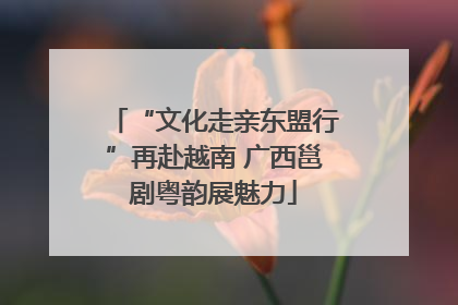 “文化走亲东盟行”再赴越南 广西邕剧粤韵展魅力