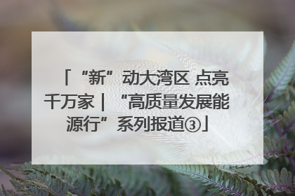 “新”动大湾区 点亮千万家｜“高质量发展能源行”系列报道③