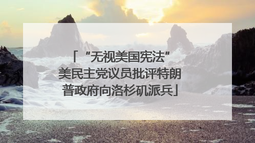 “无视美国宪法” 美民主党议员批评特朗普政府向洛杉矶派兵