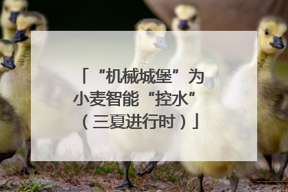“机械城堡”为小麦智能“控水”（三夏进行时）