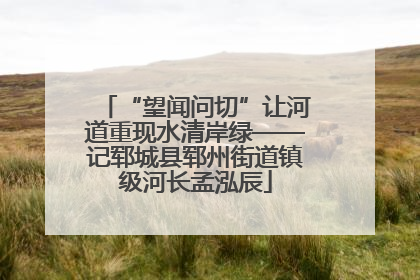 “望闻问切”让河道重现水清岸绿——记郓城县郓州街道镇级河长孟泓辰