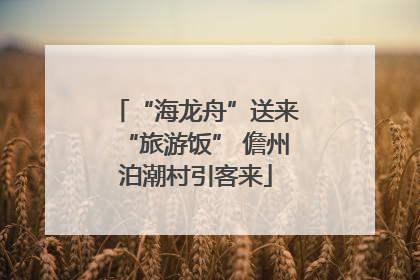 “海龙舟”送来“旅游饭” 儋州泊潮村引客来