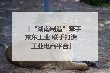 “湖南制造”牵手京东工业 联手打造工业电商平台