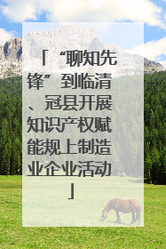 “聊知先锋”到临清、冠县开展知识产权赋能规上制造业企业活动