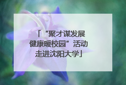 “聚才谋发展 健康暖校园”活动走进沈阳大学